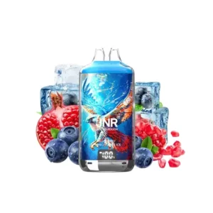 KIT BLUEBERRY POMEGRANATE ICE 28000 PUFFS 20mg 2×10ml FALCON-X BY JNR