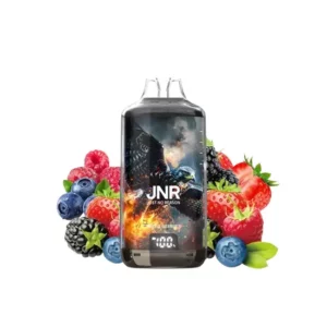KIT MIXED BERRIES 28000 PUFFS 20mg 2×10ml FALCON-X BY JNR
