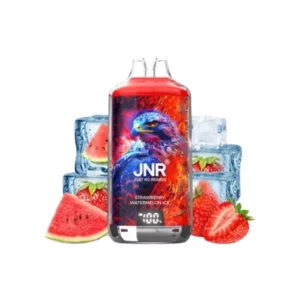 KIT STRAWBERRY WATERMELON ICE 28000 PUFFS 20mg 2×10ml FALCON-X BY JNR